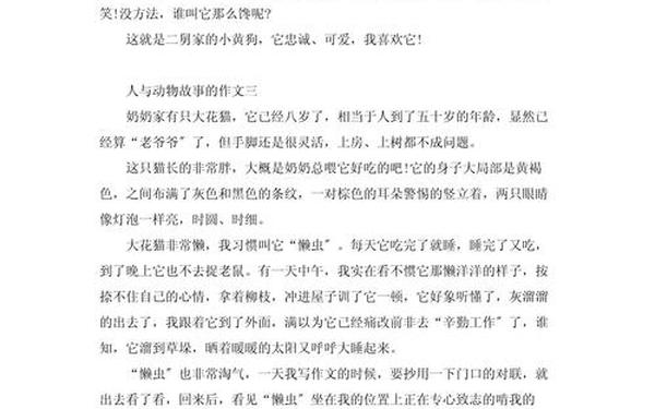 人与动物的感人故事;动物感人故事简短50字