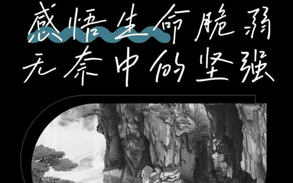 感慨生命脆弱的句子(生命短暂脆弱的感慨)