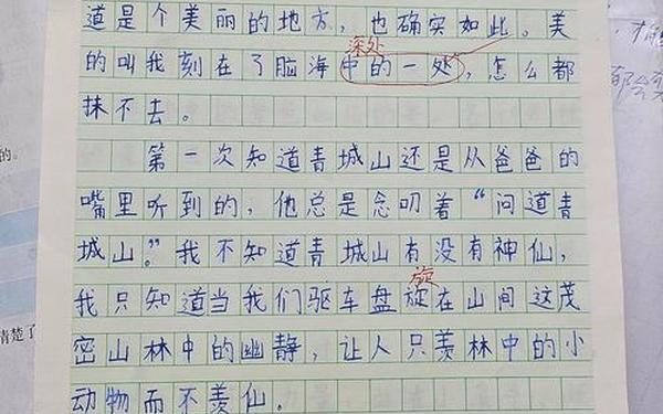 四年级上册第一单元优秀作文(四年级第一单元作文500字)