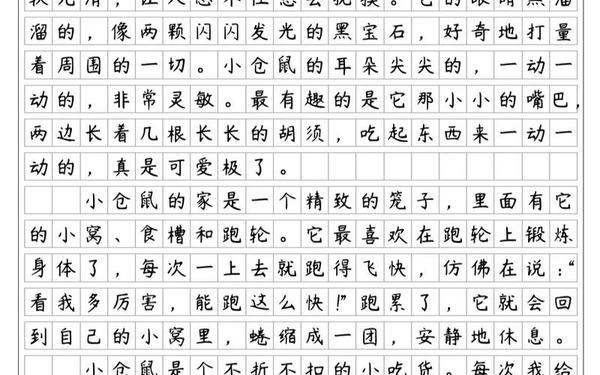 我的动物朋友400字 我独特的内心世界作文