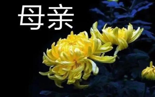 想念天堂妈妈经典短句 想念天堂妈妈的句子