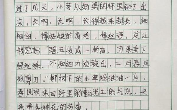 夸家乡的日记_我的家乡的日记