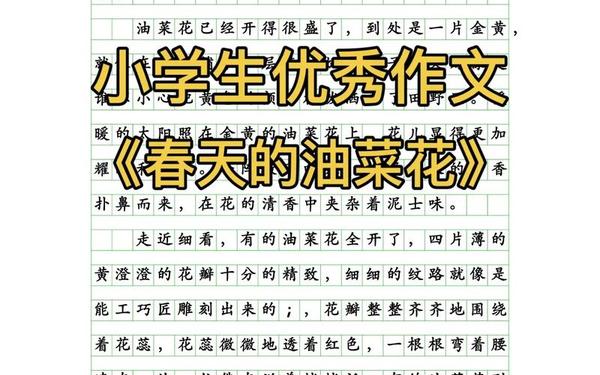 春天的发现-春天的发现作文400字四年级下册