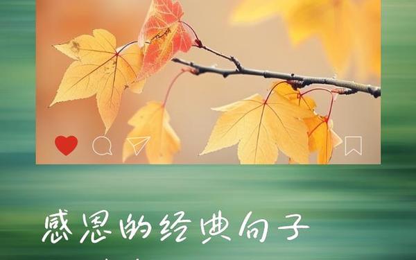 感恩简短走心的句子(感恩最暖心十句话)