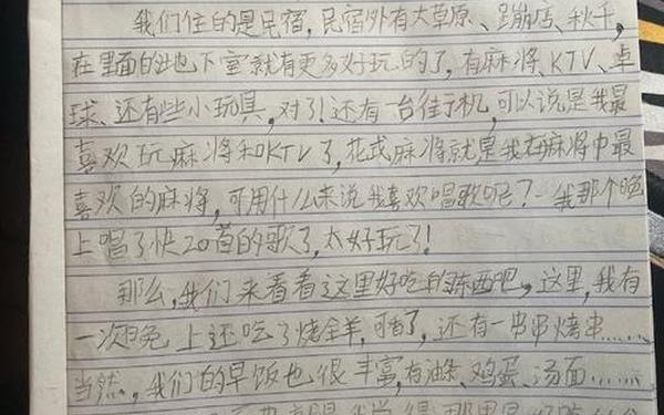 300字日记免费可抄-9999999999兆字的日记