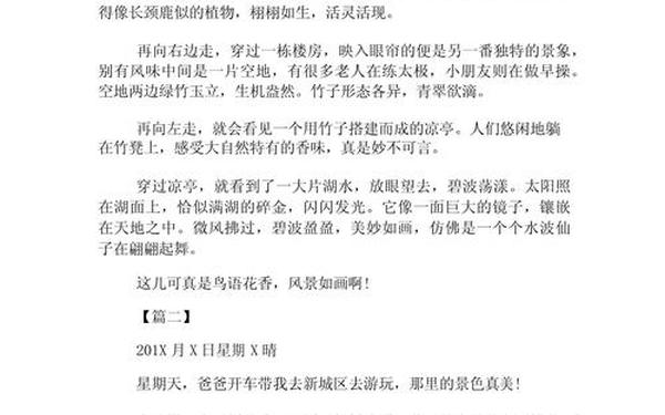 三年级优秀日记300字、300字日记三年级可抄