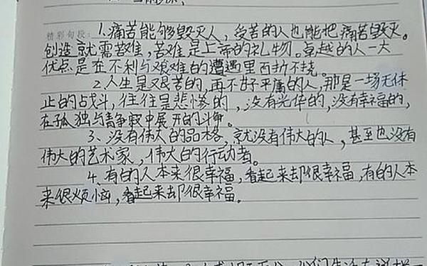 名人传记读后感-罗曼罗兰《名人传》读后感