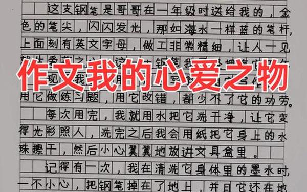 我的心爱之物小熊作文,我的心爱之物是几年级作文