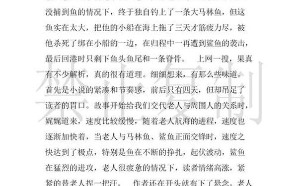 《老人与海》读后感500字左右-名著读后感500字