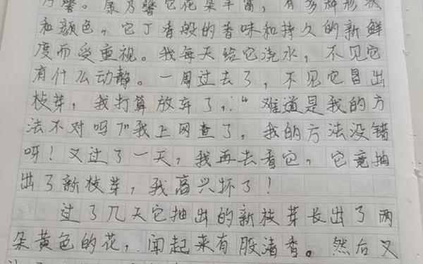 寒假日记100字;寒假日记30篇可抄100字