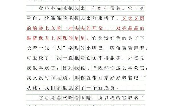 我的心爱之物作文600字 我的心爱之物作文600多字
