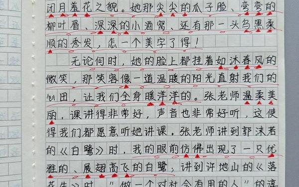 《漫画老师》作文 动漫美术辅导老师
