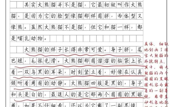 大熊猫作文300字三年级下册(大熊猫优秀作文100字)