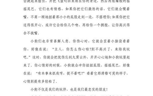 动物的作文300字—小狗的作文300字
