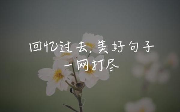 回忆往事的唯美句子-回忆过往的句子