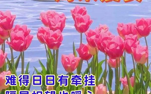 客户群发祝福短信—周末群发客户问候微信