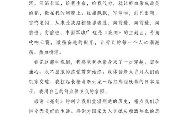 亮剑观后感600字(亮剑读后感4000字)
