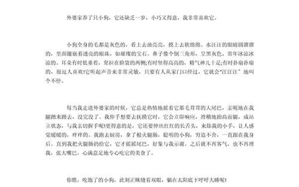 小狗的作文300字,小狗300字可抄