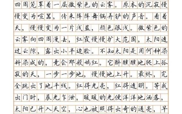 《遇见》中考满分作文600字_中考满分优秀作文范文