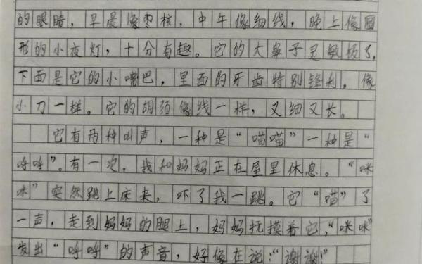 三年级300字作文-免费抄作文300字