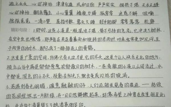 命若琴弦读后感、命若琴弦读书笔记摘抄及感悟