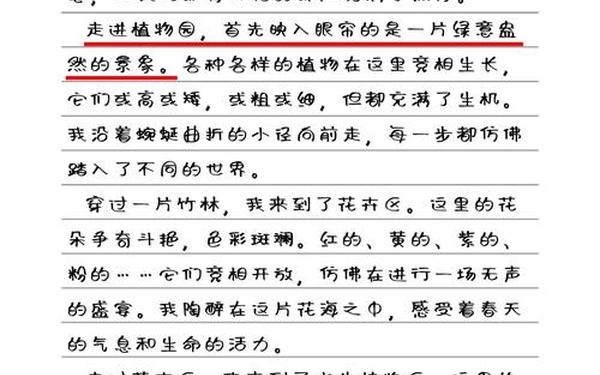 植物园作文 仙湖植物园作文100字左右