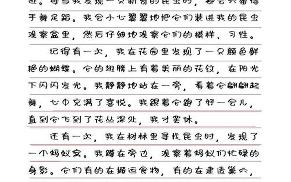 关于昆虫的作文,昆虫作文100字