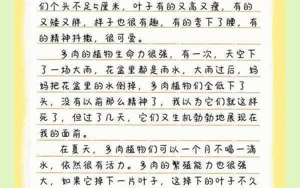 公交车多肉短文300字左右,多肉花的作文300字