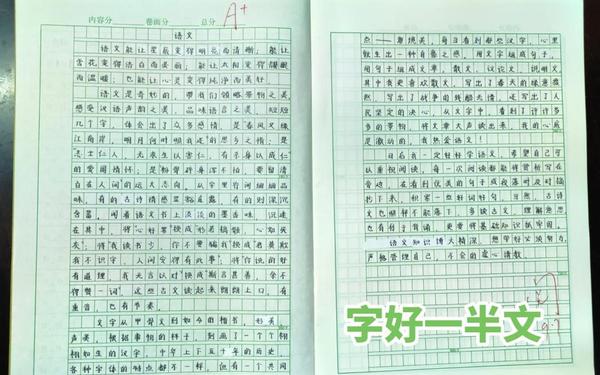 初中刚入学感受600字、作文初一新生入学感受如何写600字