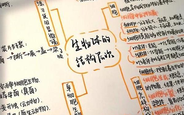 七年级生物上册知识点总结归纳_七年级生物思维导图