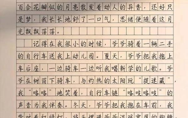 六年级上册语文课本-六年级小说作文500字爱心少年陆飞