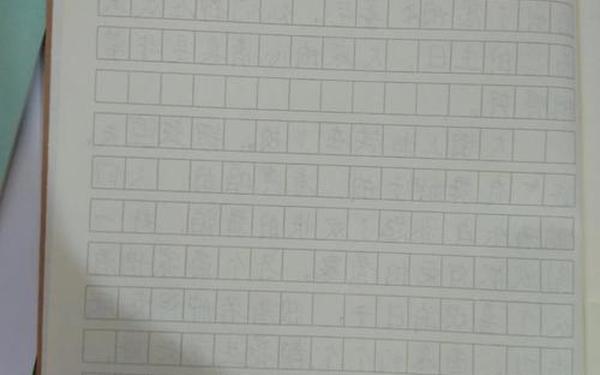 五年级日记20字_日记150个字左右5年级