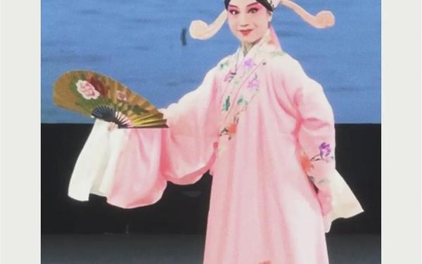 桃李梅打一地名—桃李梅打一城市名
