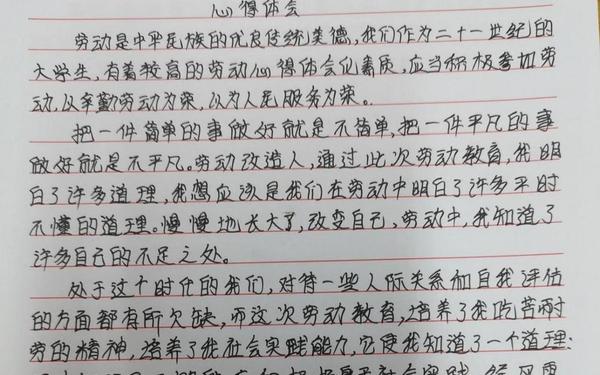 暑假社会实践活动心得体会,假期实践活动感受20字