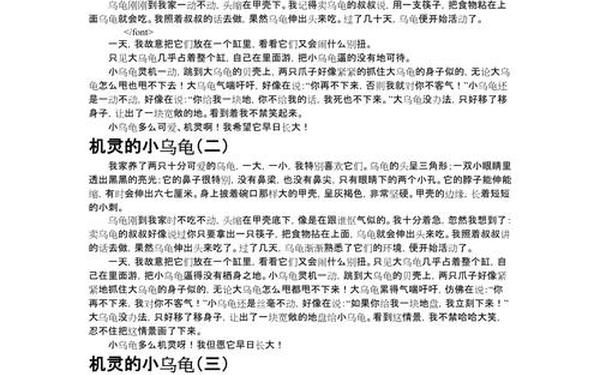 小乌龟的作文—小乌龟300字优秀作文