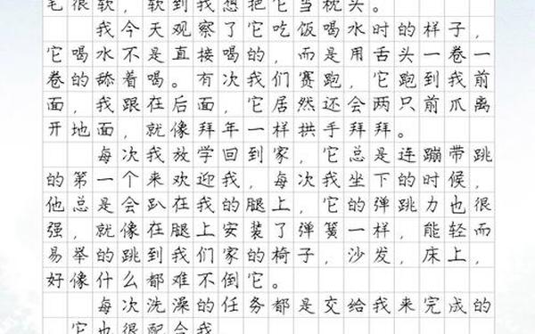 我家的小狗作文300字 我家的狗的作文300字精选40篇