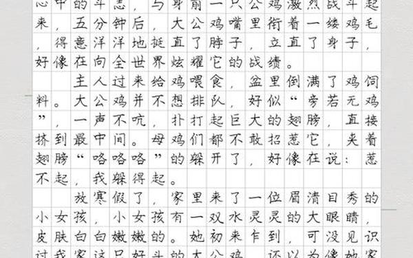 好斗的公鸡作文_好斗的公鸡作文600字六年级
