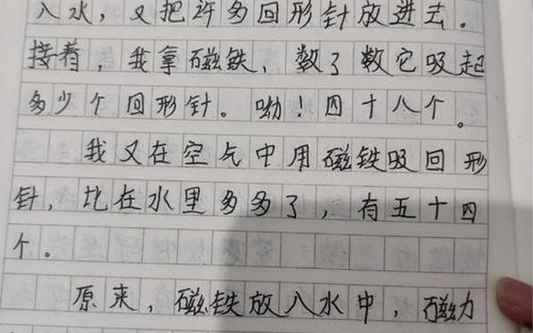 四年级日记100字,100字日记怎么写