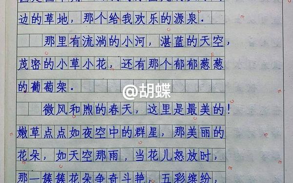 我的乐园作文400字左右 400作文我的乐园免费可抄