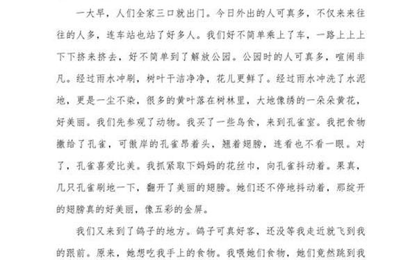元旦节作文300字_三年级作文《元旦》