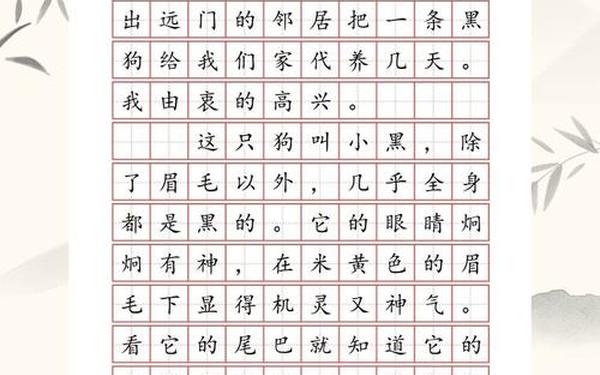 我的作文300字三年级、动物作文300字三年级