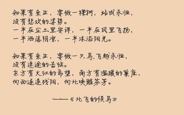 仓央嘉措最美的十首情诗_如果有来生三毛原文诗