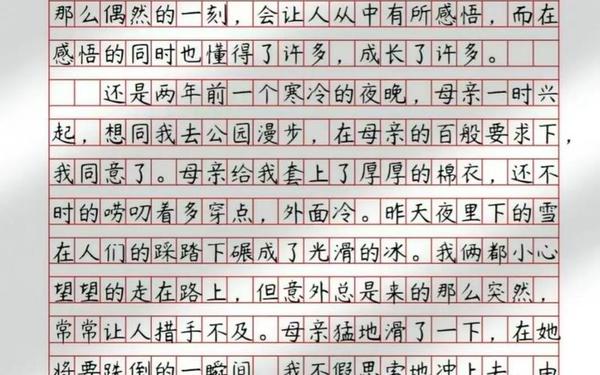 高一作文大全—成长的一课作文600字