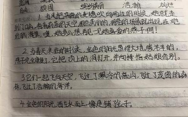 小学生读书笔记10篇_阅读笔记10篇
