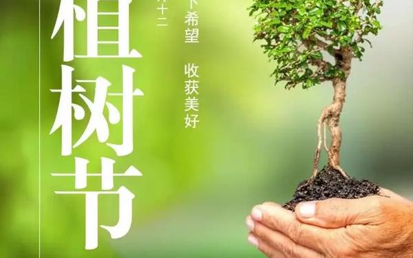 植树节是几月几日 2025年是第几个植树节 植树节是几月几日 2025年是第几个植树节