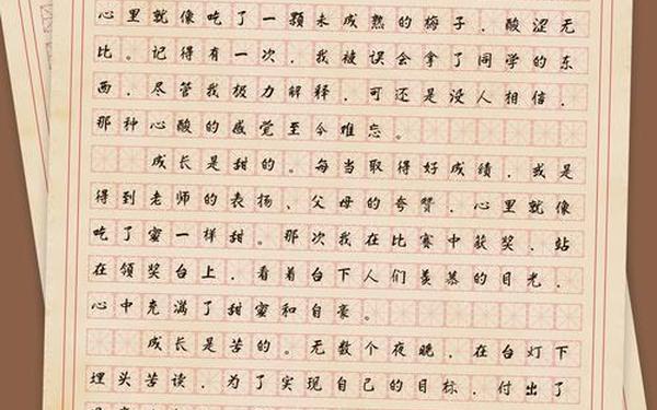 500字优秀范文-优秀作文500字可抄