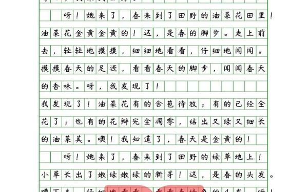 400字左右优秀作文、满分作文摘抄400