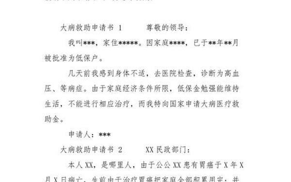 大病救助申请书怎么写—救助证明怎么写