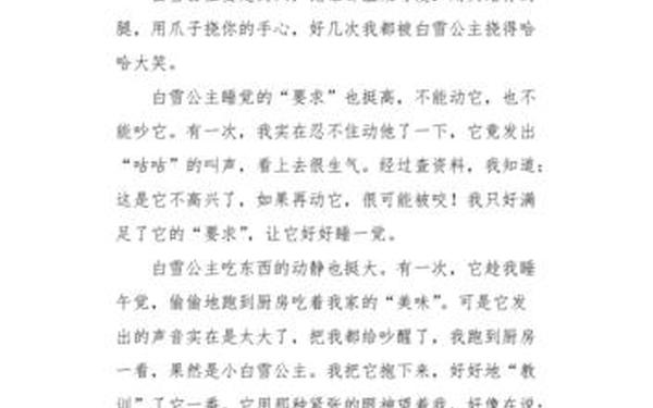 小学生作文400字左右(写兔子的作文400字四年级下册)