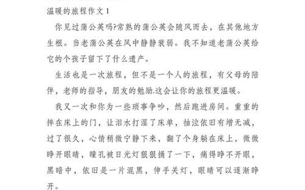 《温暖》800字作文-9999999999万亿字作文